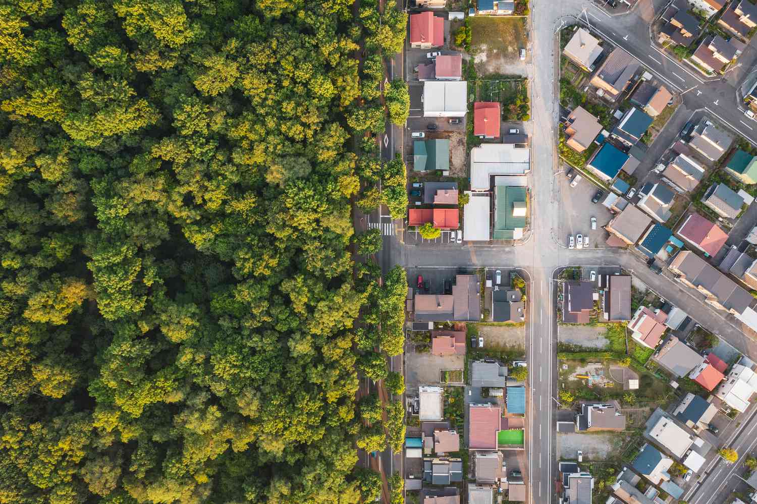 news_blog/title/2025/02/aerial-view-of-road-intersection-1173819718-824492a73d084b588aa66fef084eda6d.jpg