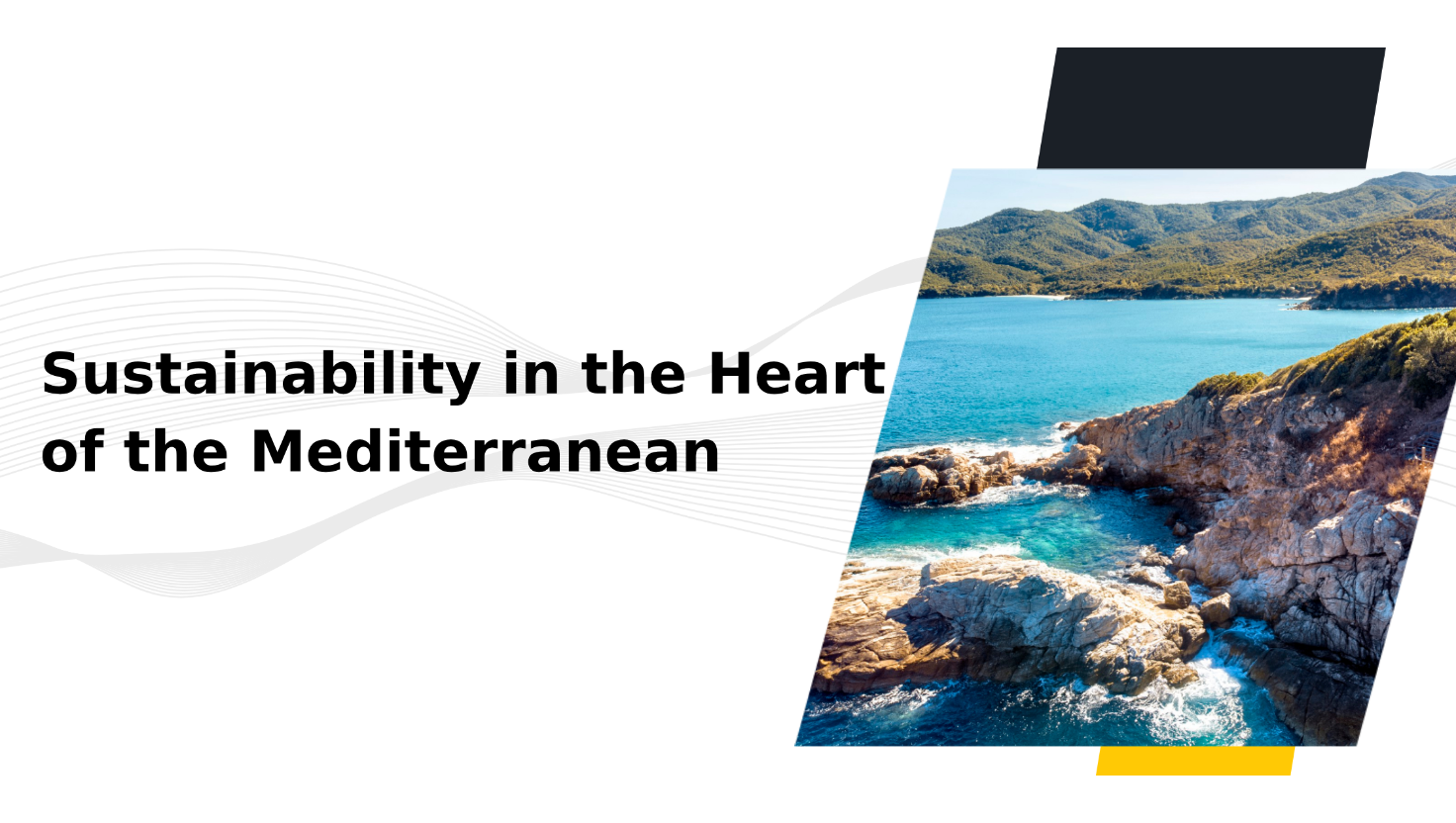 news_blog/title/2025/07/Untitled-design-4.png